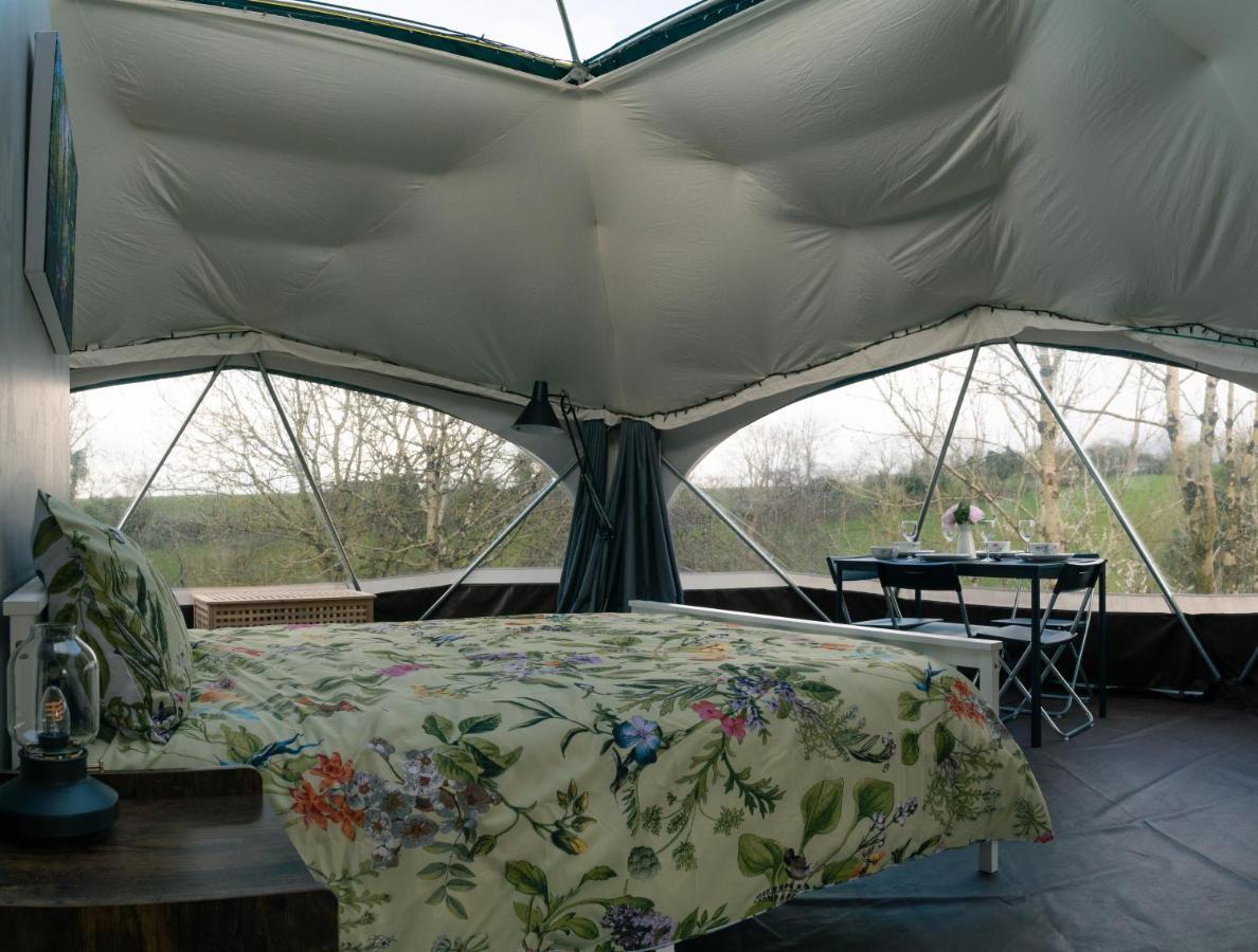 Little River Glamping Баллимони Экстерьер фото