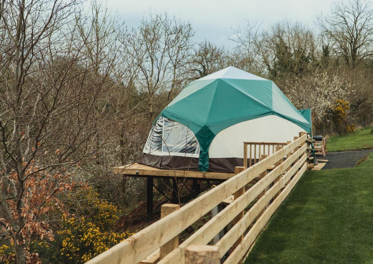 Little River Glamping Баллимони Экстерьер фото