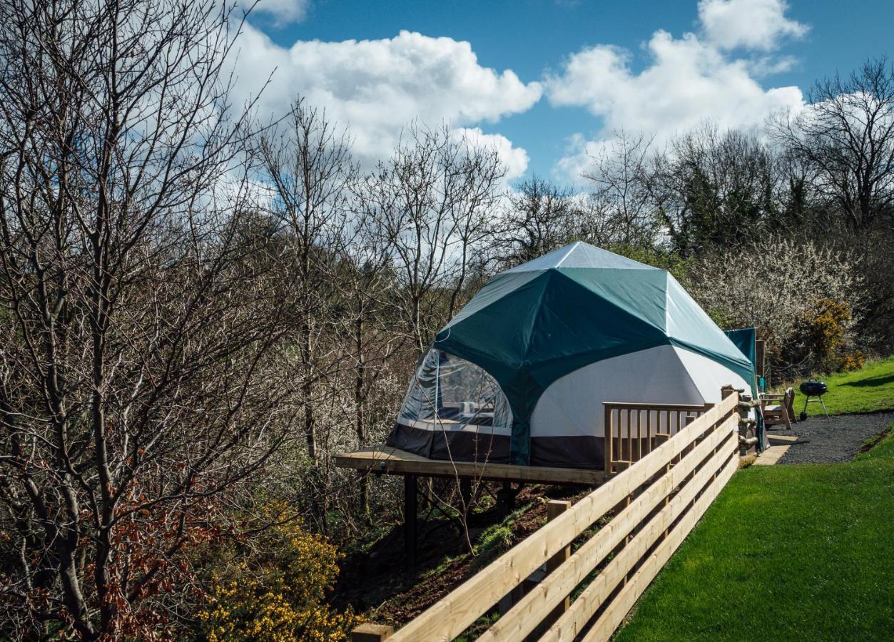 Little River Glamping Баллимони Экстерьер фото